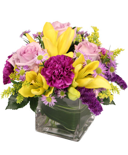 HIGH IMPACT ARRANGEMENT