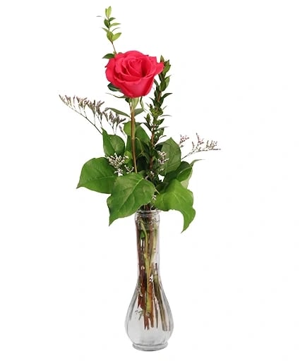 SINGLE HOT PINK BUD VASE ROSE ARRANGEMENT