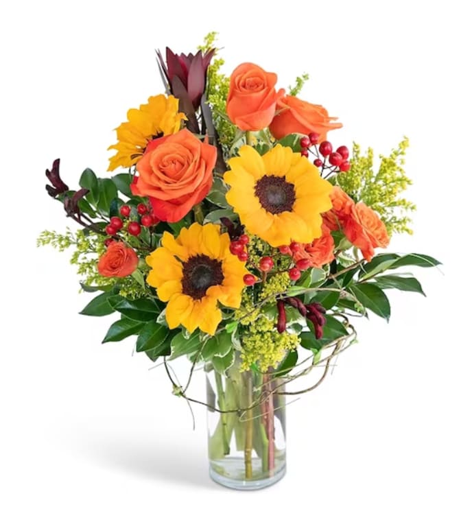 Postcard from Tuscany