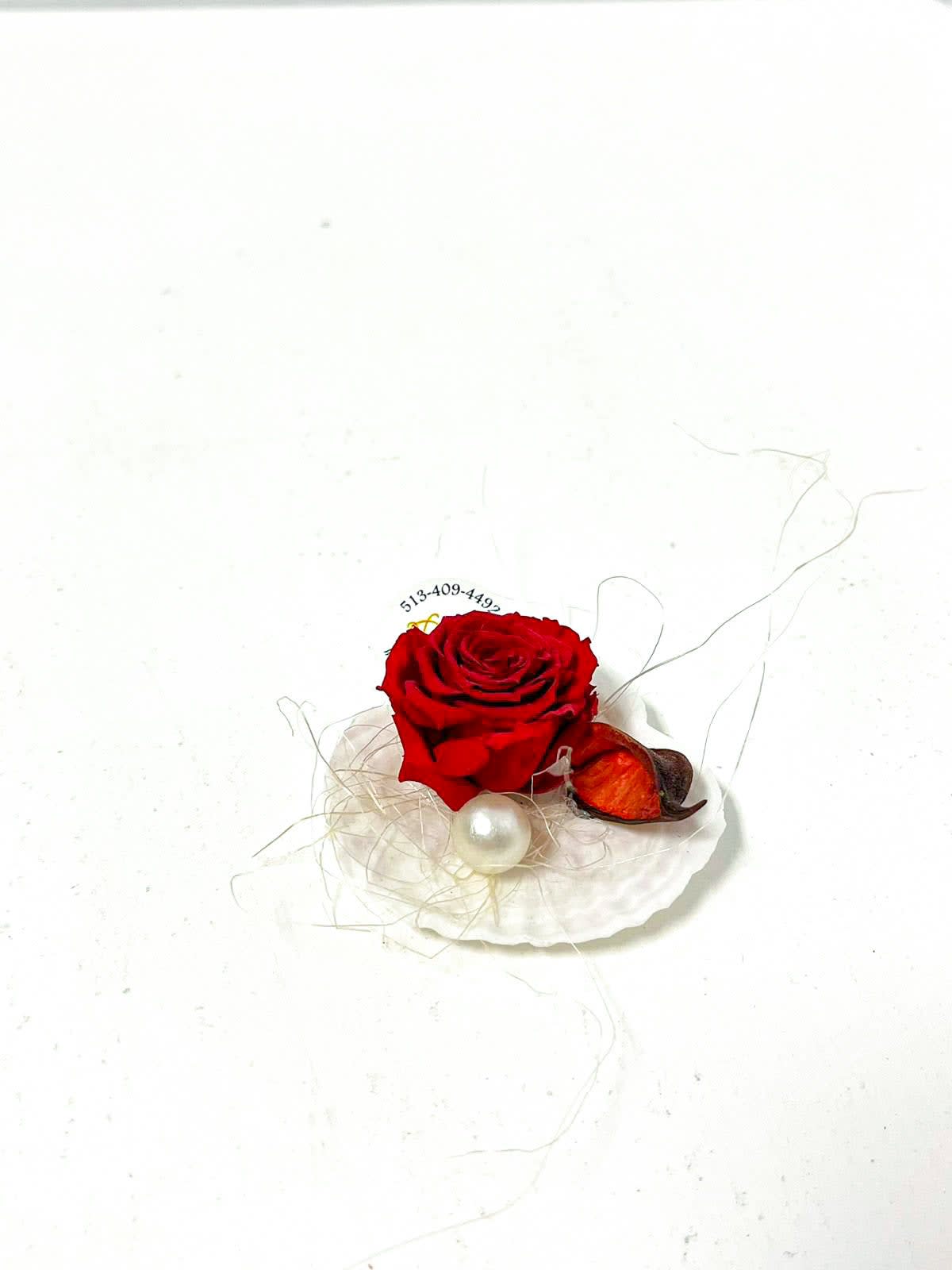 Freeze Dried Rose in Scallop Shell