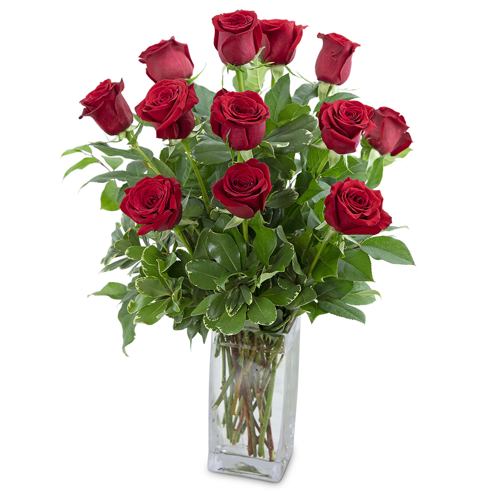 Classic Dozen Red Roses Flower Bouquet
