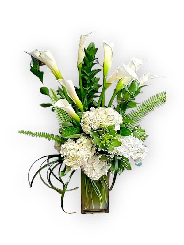 Delicate Impressions