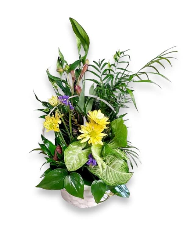 Dish Garden with Blooms Flower Bouquet