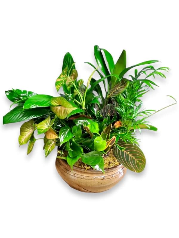 Dish Garden with Dried Flowers