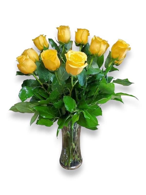 Rays of Sunshine Roses