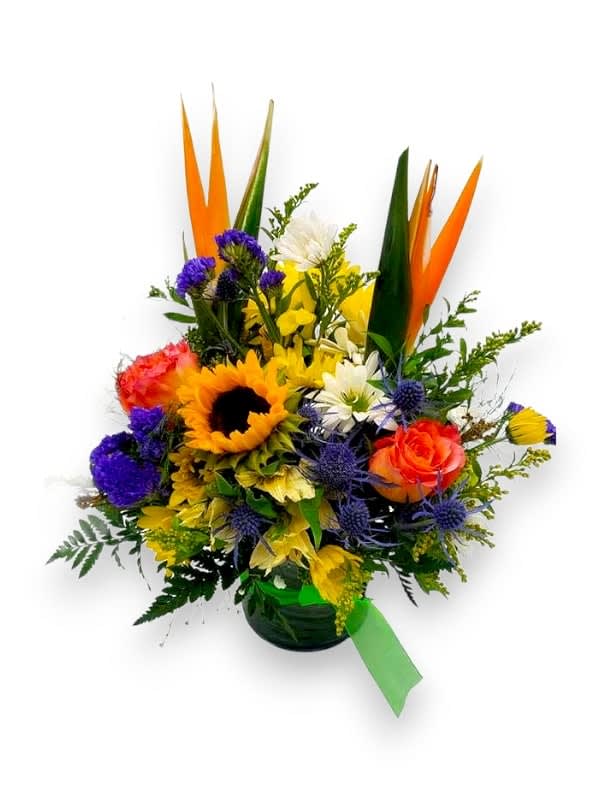 Taste of the Tropics