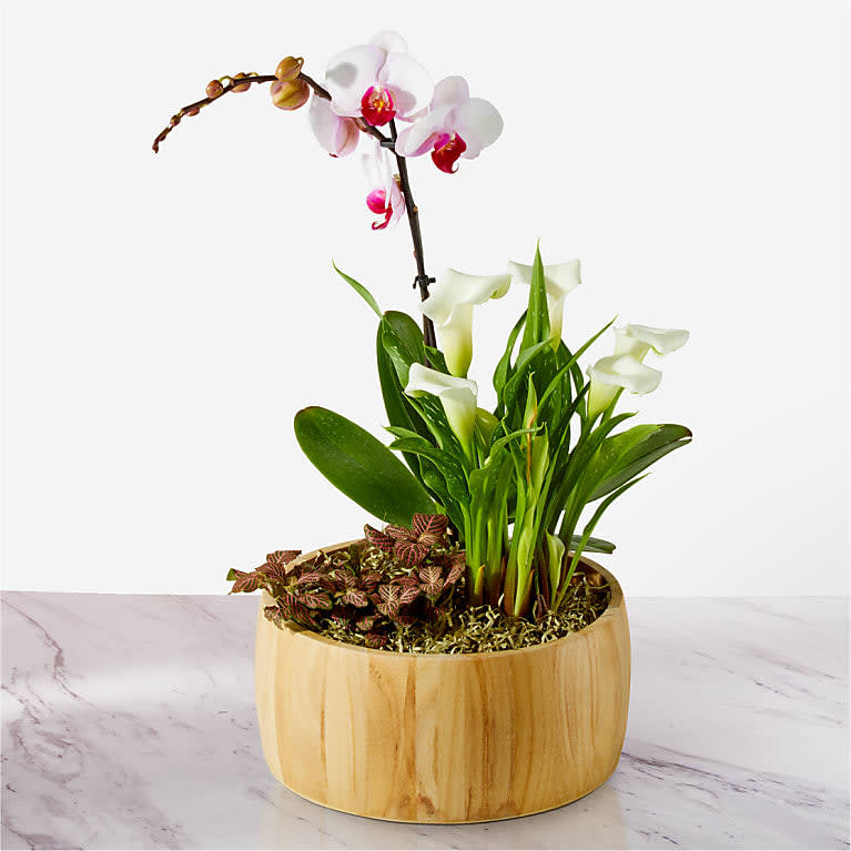 Better Together Blooming Garden