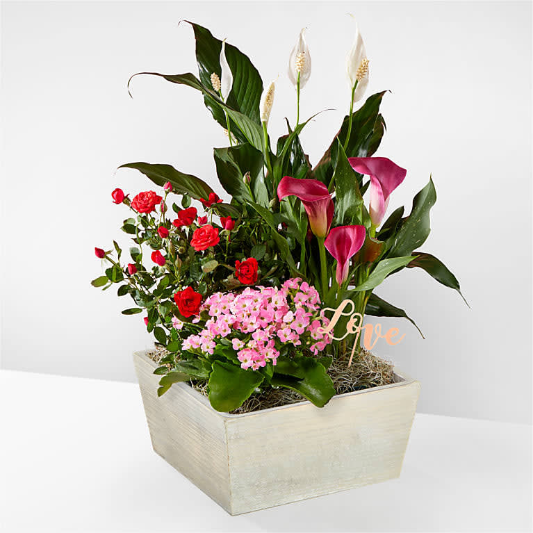 Love You More Garden