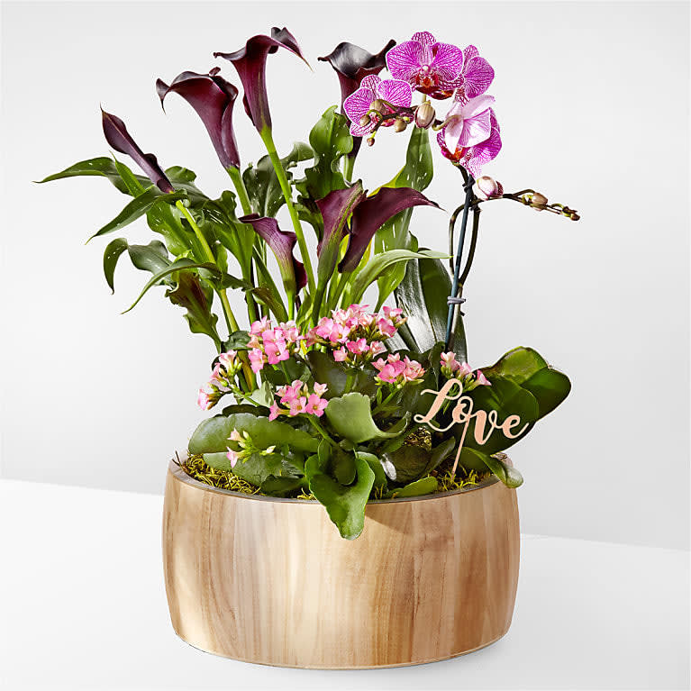 Let Love Shine Garden