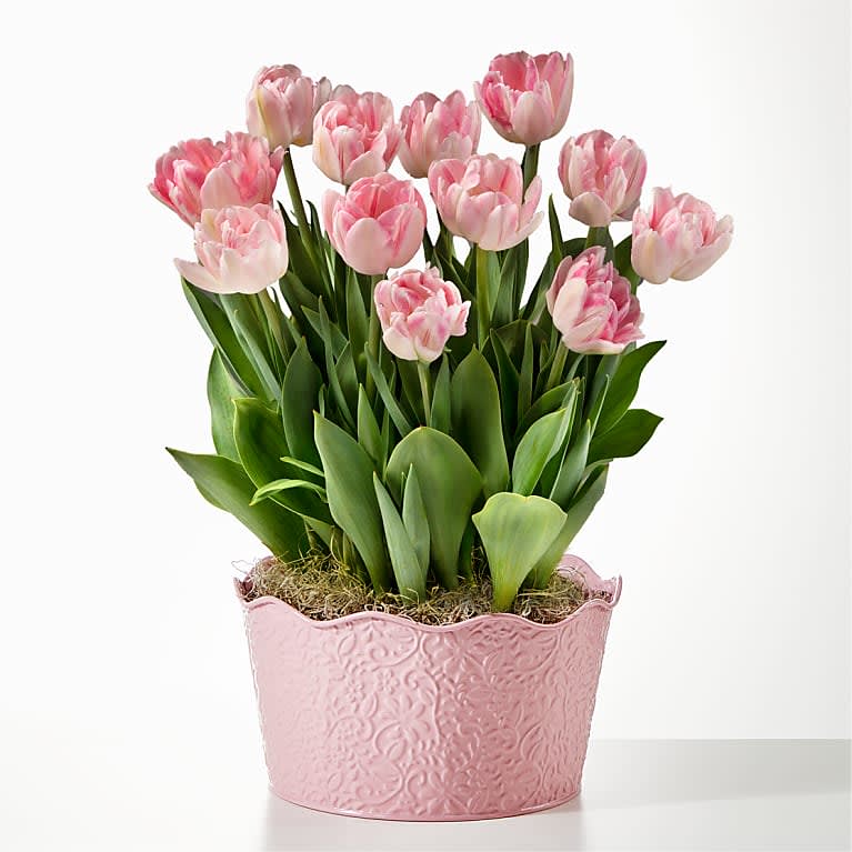 Here in My Heart Tulip Bulb Garden Flower Bouquet