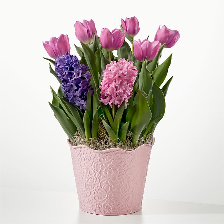 Let Your Love Grow Bulb Garden Flower Bouquet