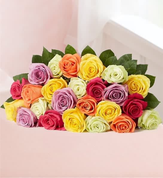 Two Dozen Assorted Roses for Romance