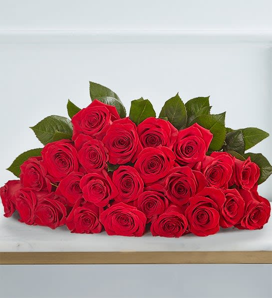 Sparkle Her Day Two Dozen Red Roses
