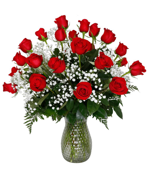 2 Dozen Roses Arranged Flower Bouquet