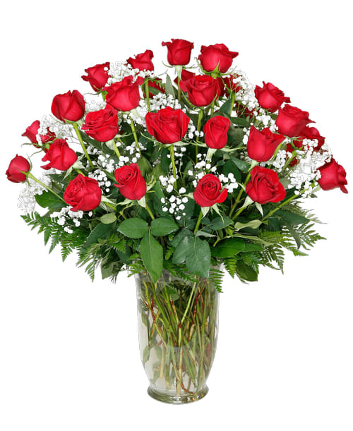 3 Dozen Roses Arranged Without Filler