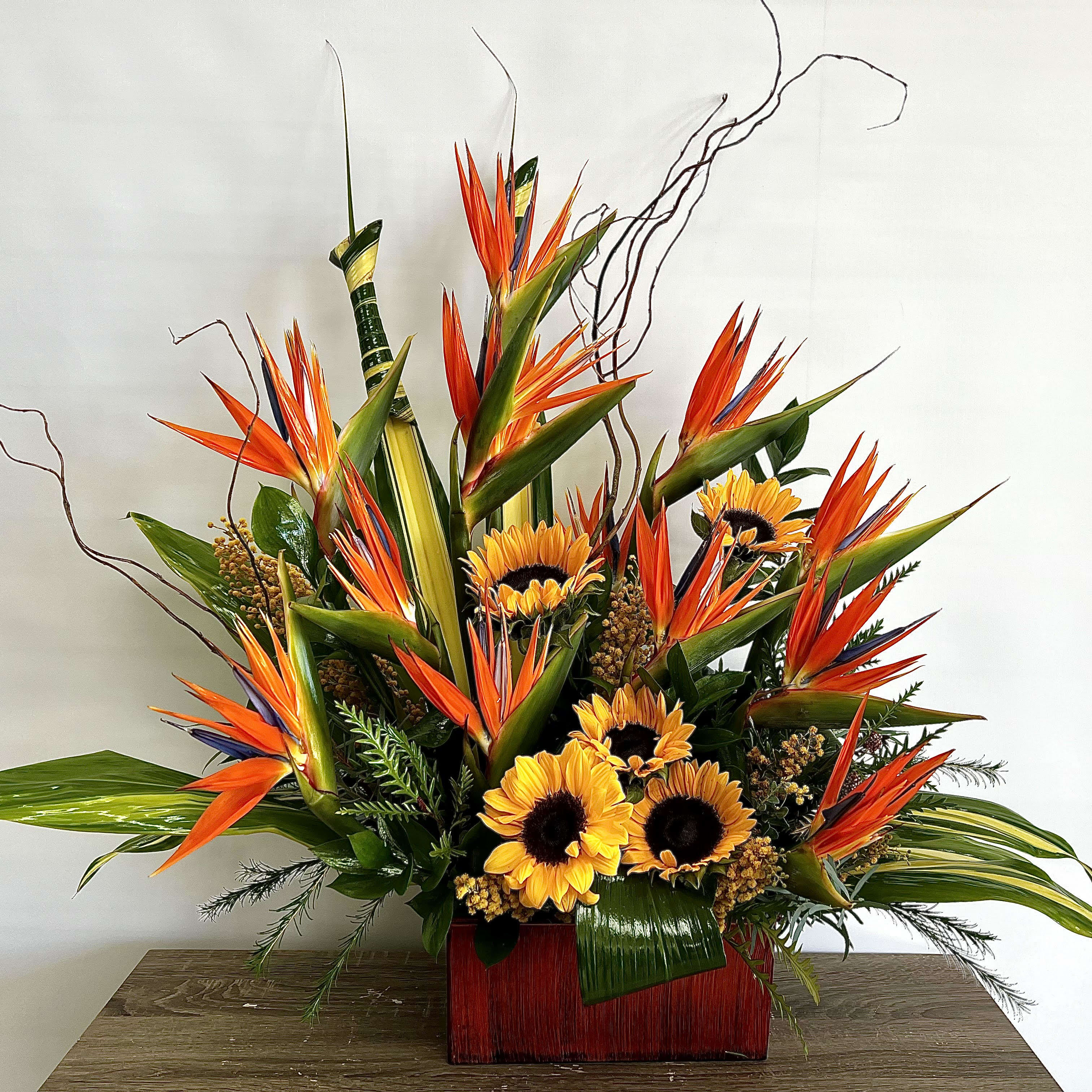 Tropical Radiance By Elite