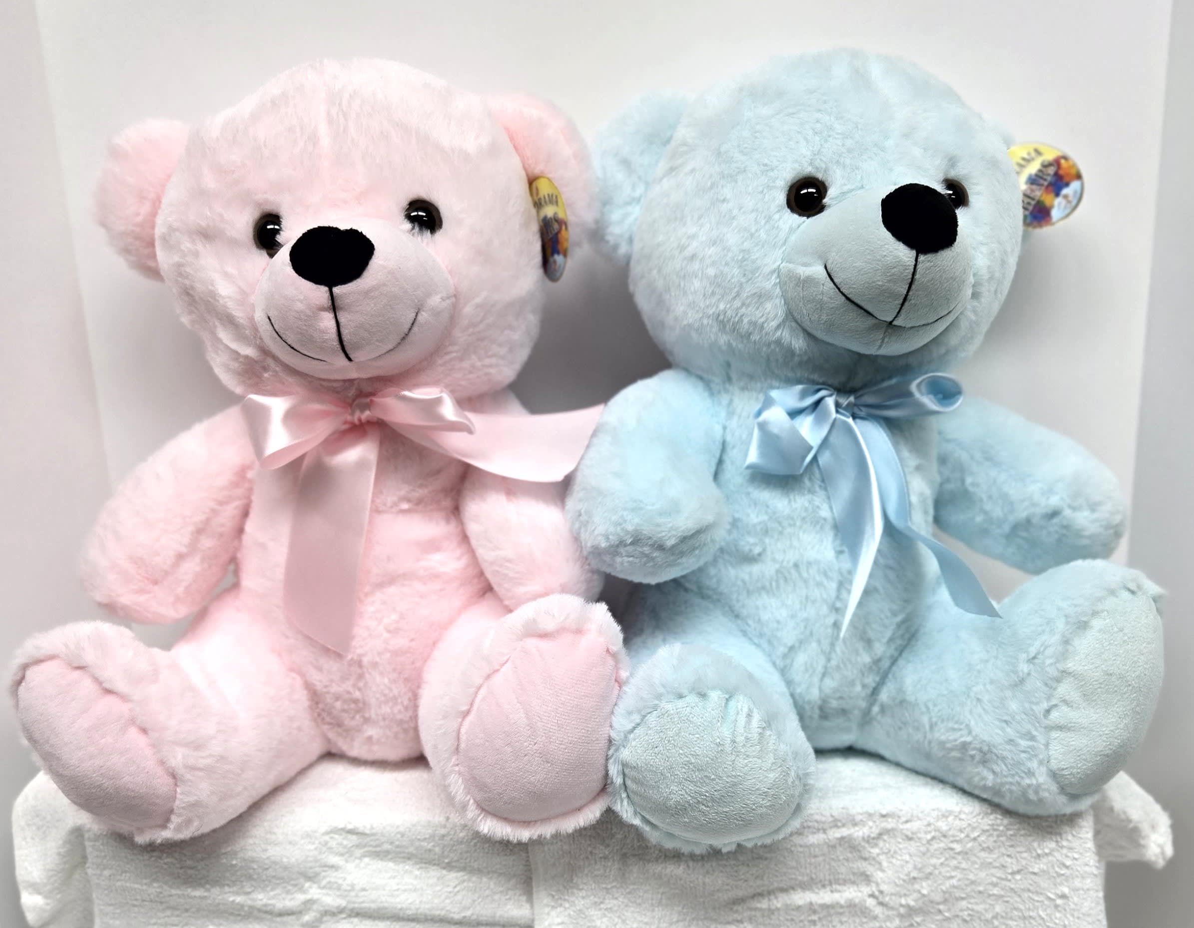 Pink Or Blue Bear