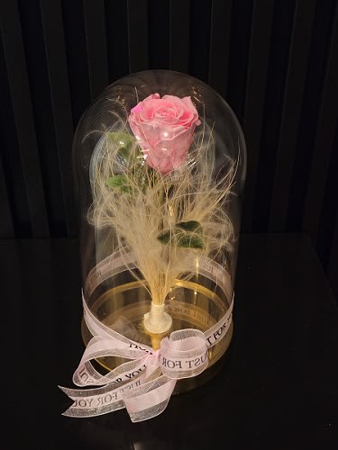 Beauty and the beast pink