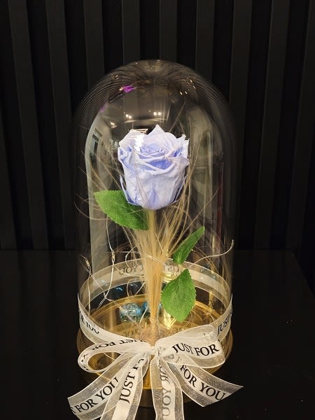 Beauty and the beast lilac