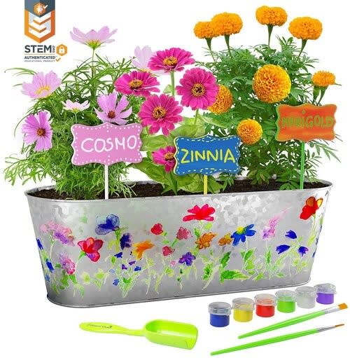 Paint and Plant Flower Growing Kit Flower Bouquet