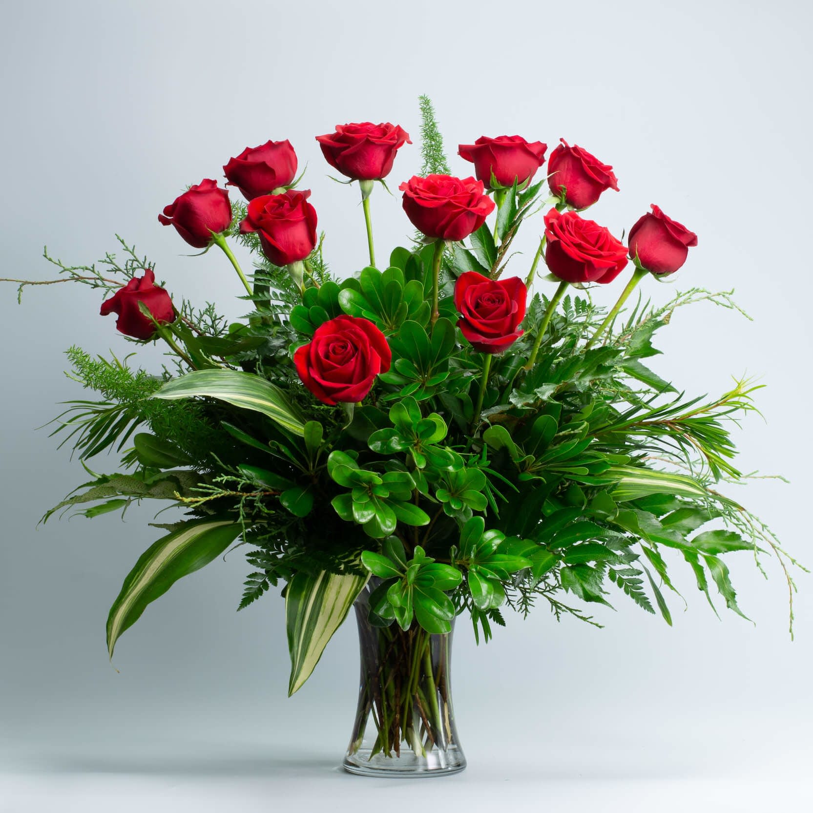 Ruby Red - One Dozen Red  Rose