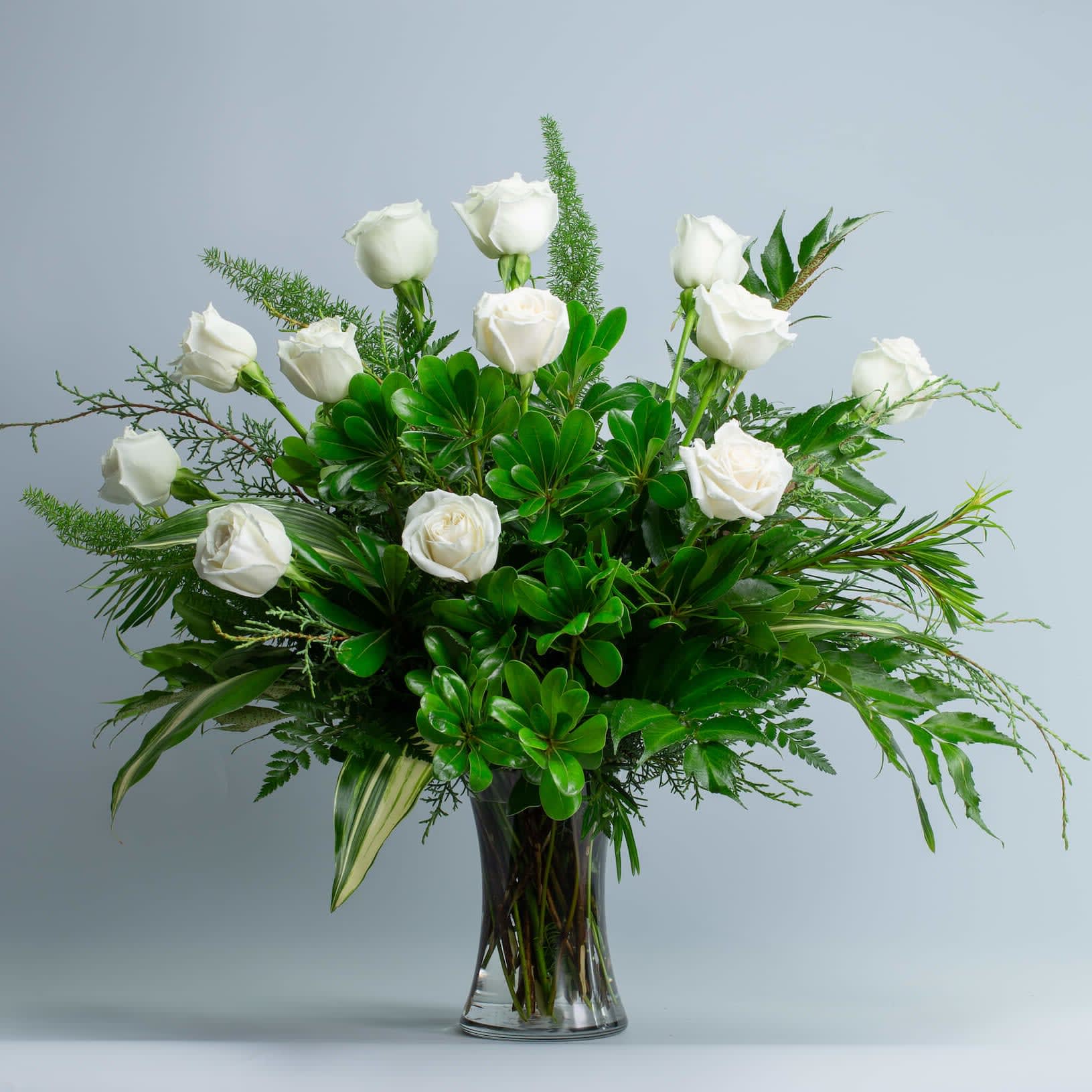 Mondial  Rose - One Dozen White Rose