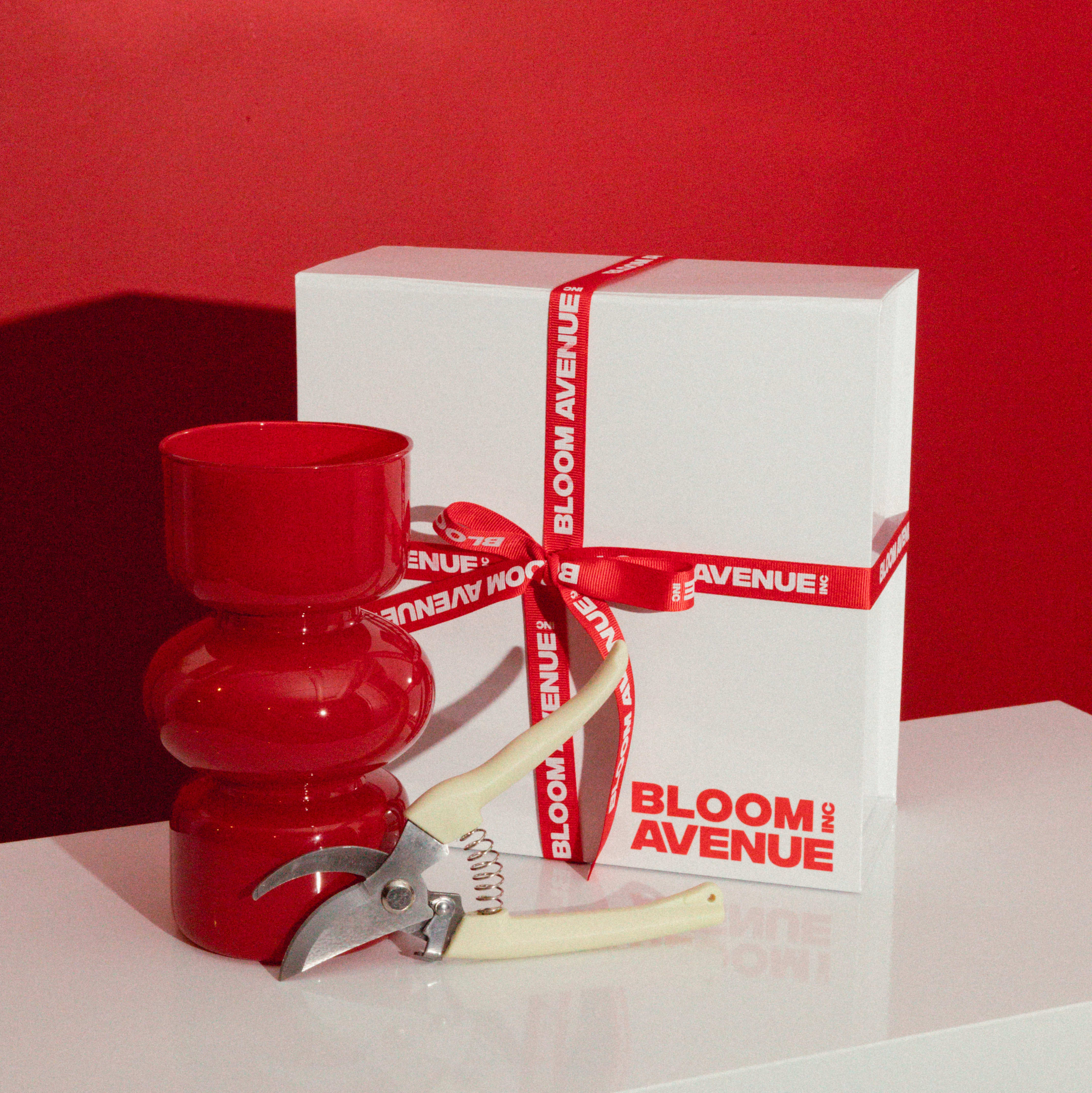 FLOWER CARE GIFT SET