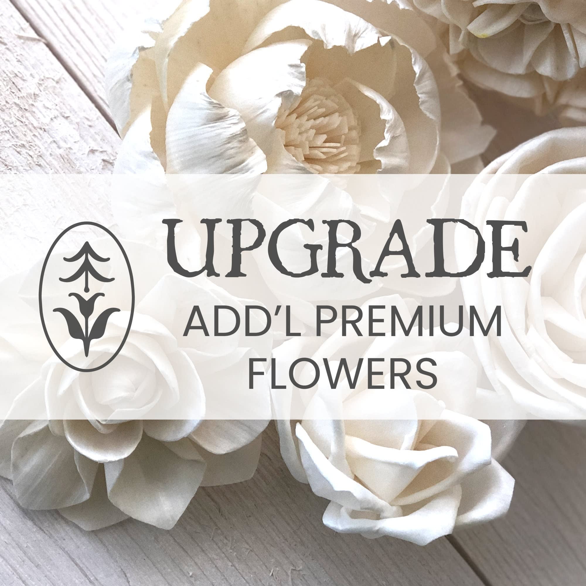 Upgrade