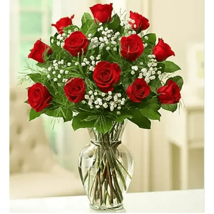 12 roses In a Vase