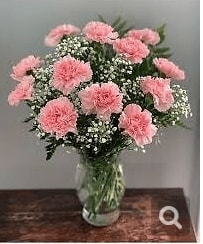 1 DOZEN PINK CARNATIONS