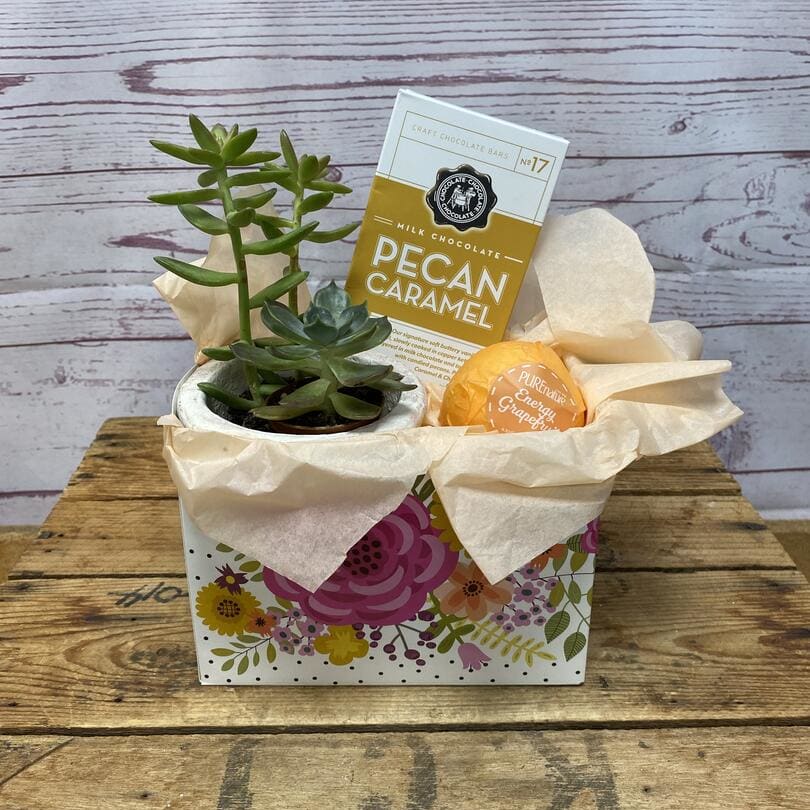 Mindful Moments Plant Gift Set