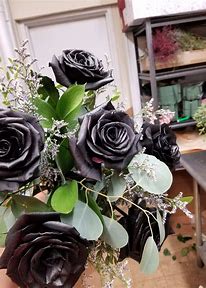 1 DZ BLACK ROSES Flower Bouquet