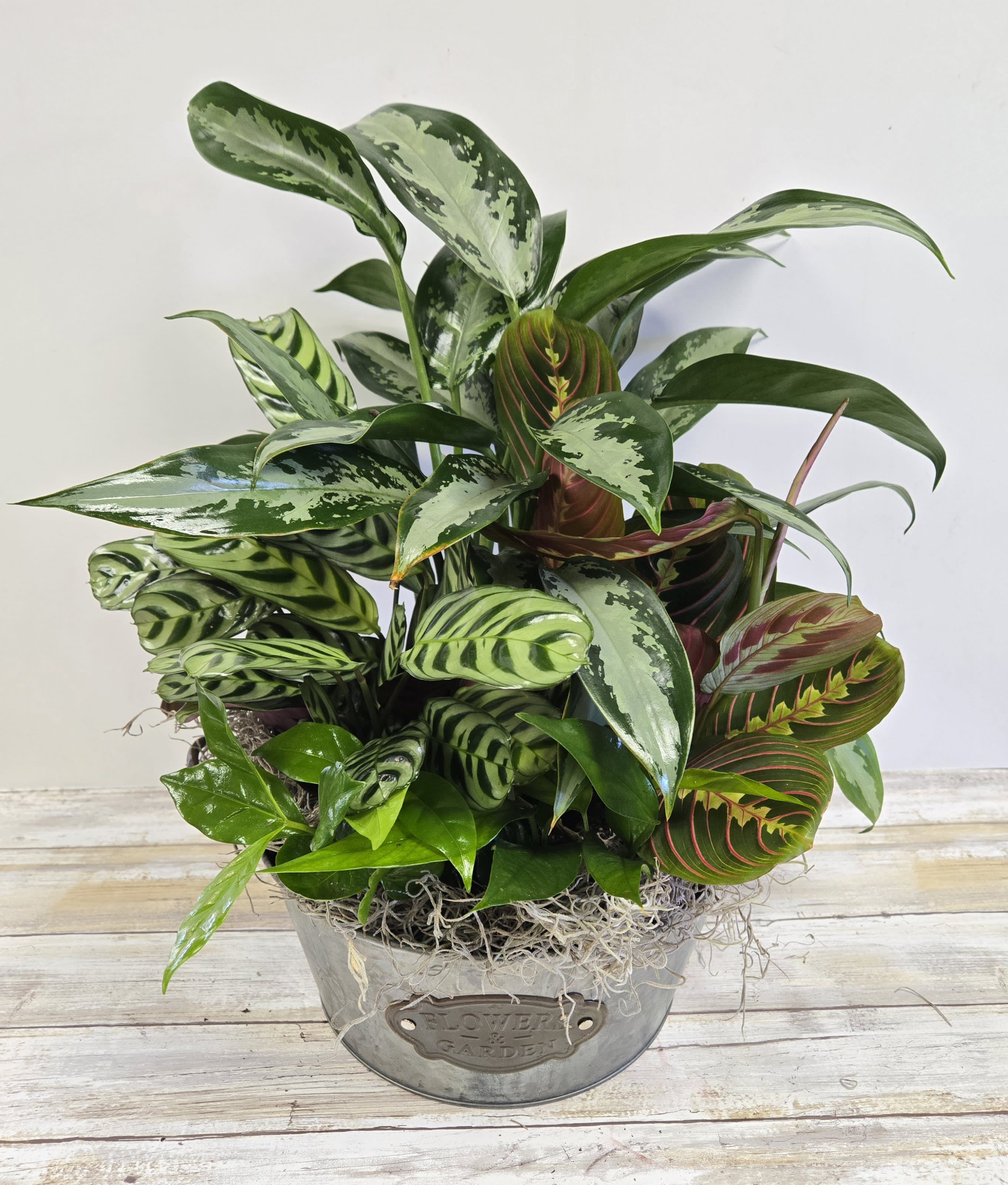 Medium Sunny Dishgarden Flower Bouquet