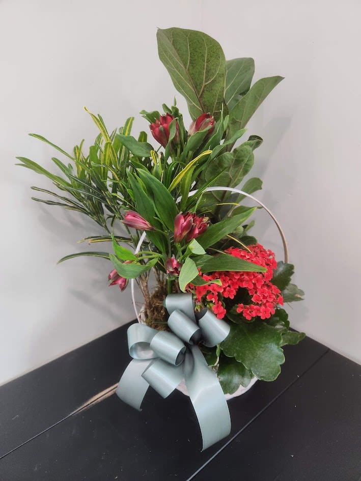 Wild Wonders Planter