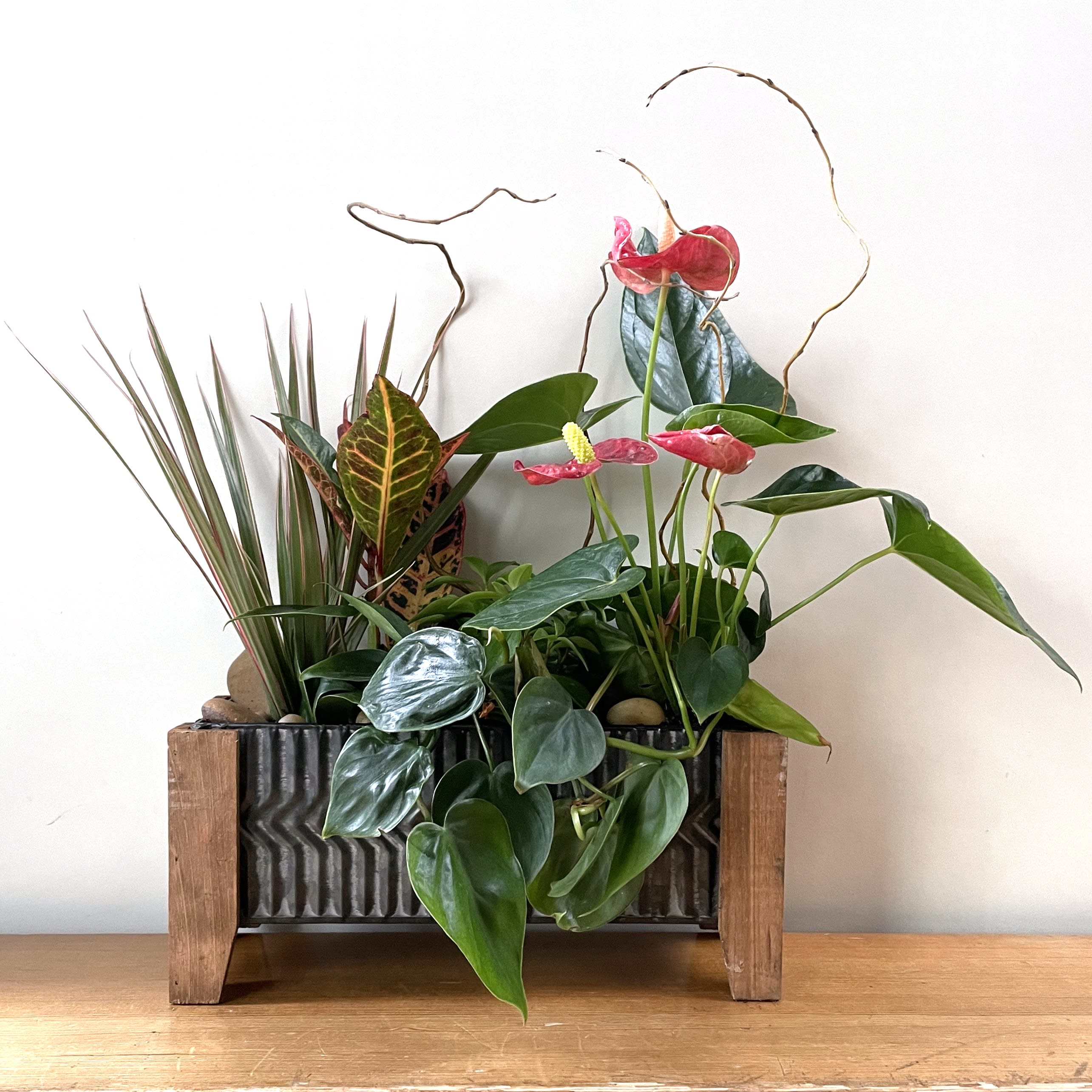 Tropicals in metal and wooden footed planter