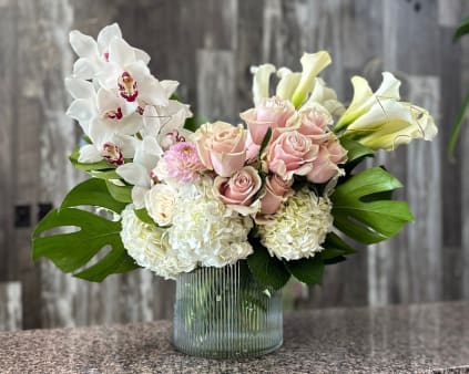 Sympathy Flowers and Plants