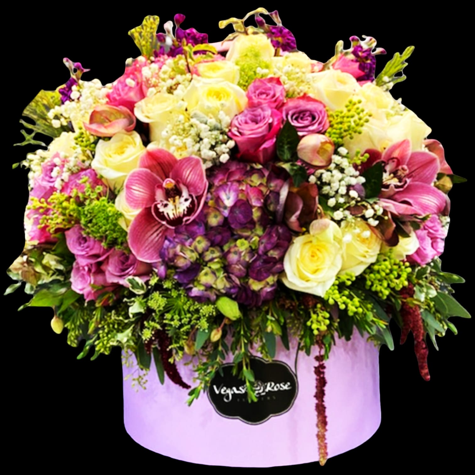 EXOTIC PURPLES IN ANY BOX