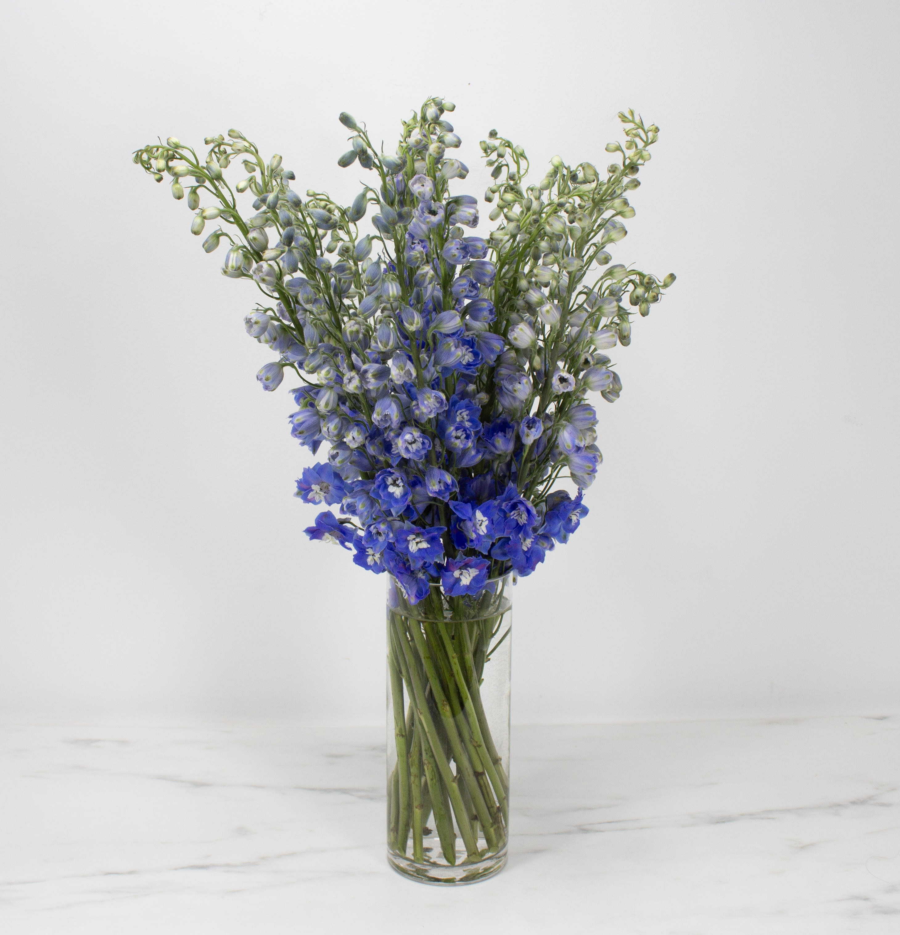 Simply Delphinium Flower Bouquet