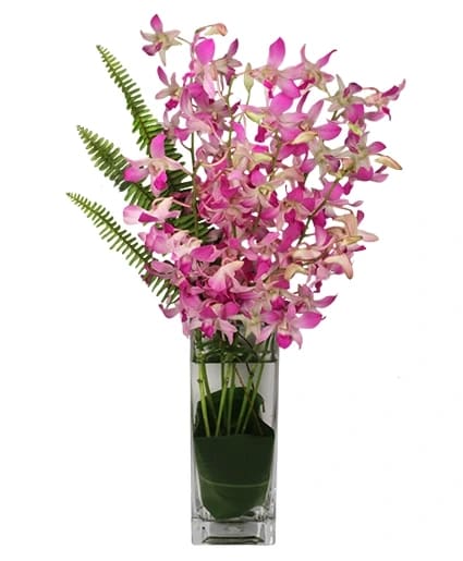 DAZZLING DENDROBIUMS ORCHID ARRANGEMENT