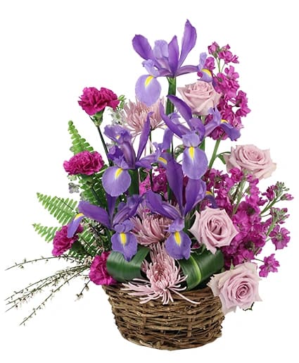 IRIS AFFECTION BASKET ARRANGEMENT