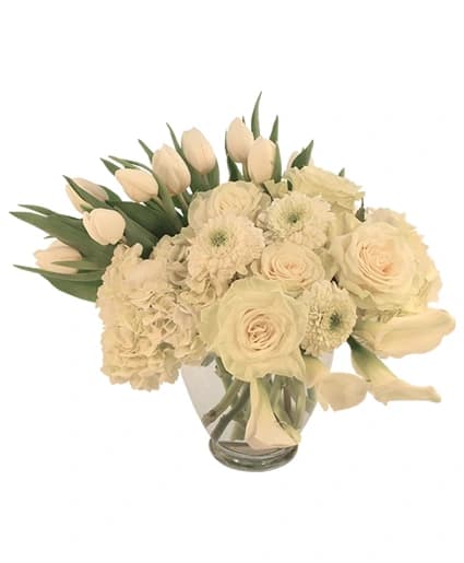 IVORY SPLENDOR
ARRANGEMENT