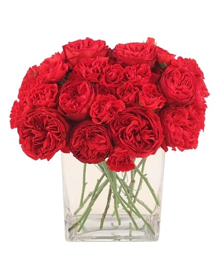 RED CARPET BOUQUET MIXED ROSES & MINI ROSES Flower Bouquet