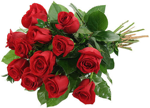 Classic Red Roses (Bouquet) Flower Bouquet