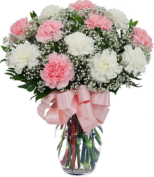 Dozen Mixed Carnations in a Vase Flower Bouquet