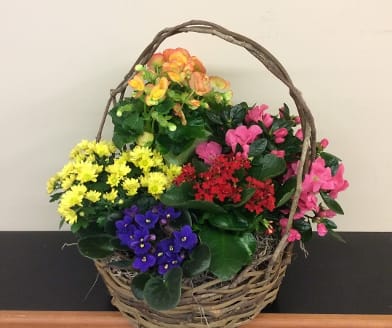 Flowering Basket