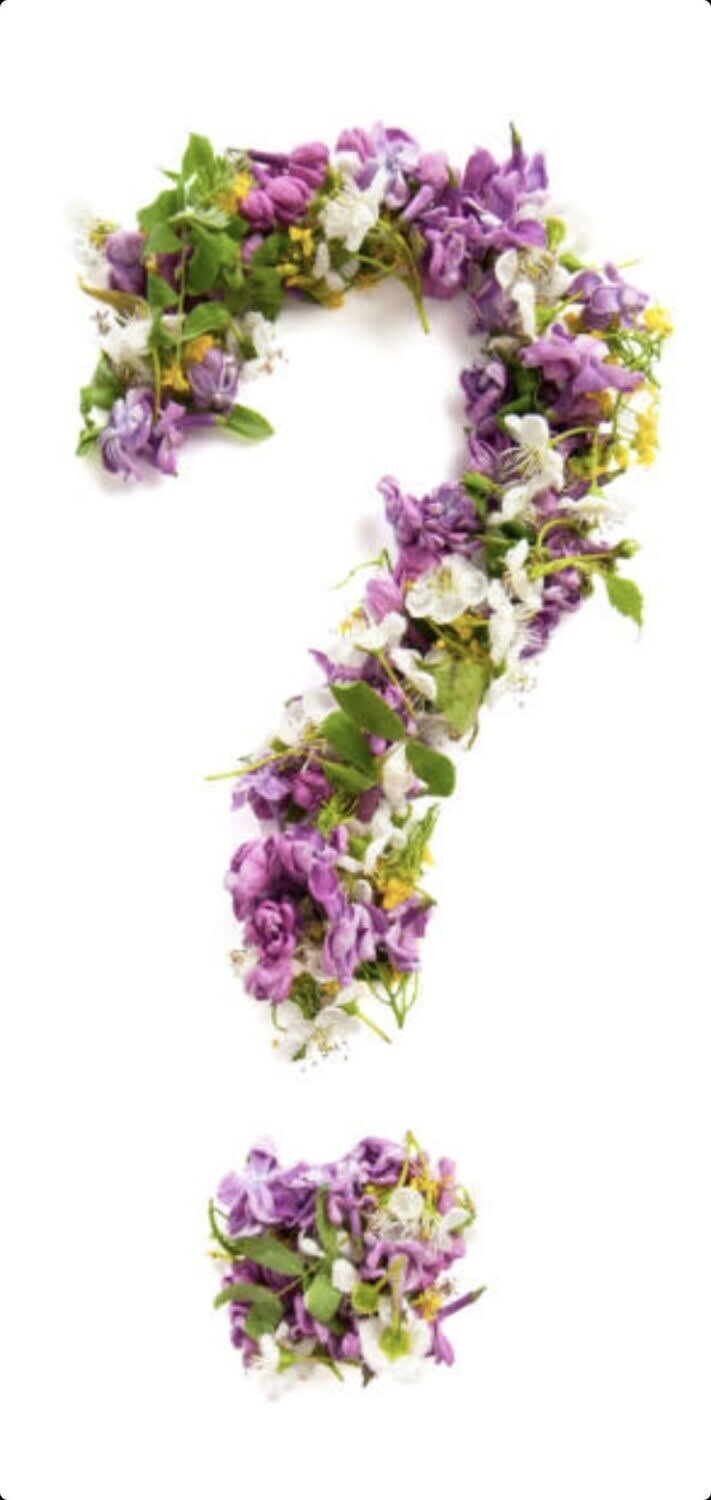 Florist's Choice Flower Bouquet