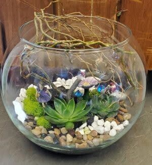 Bubble Bowl Terrarium