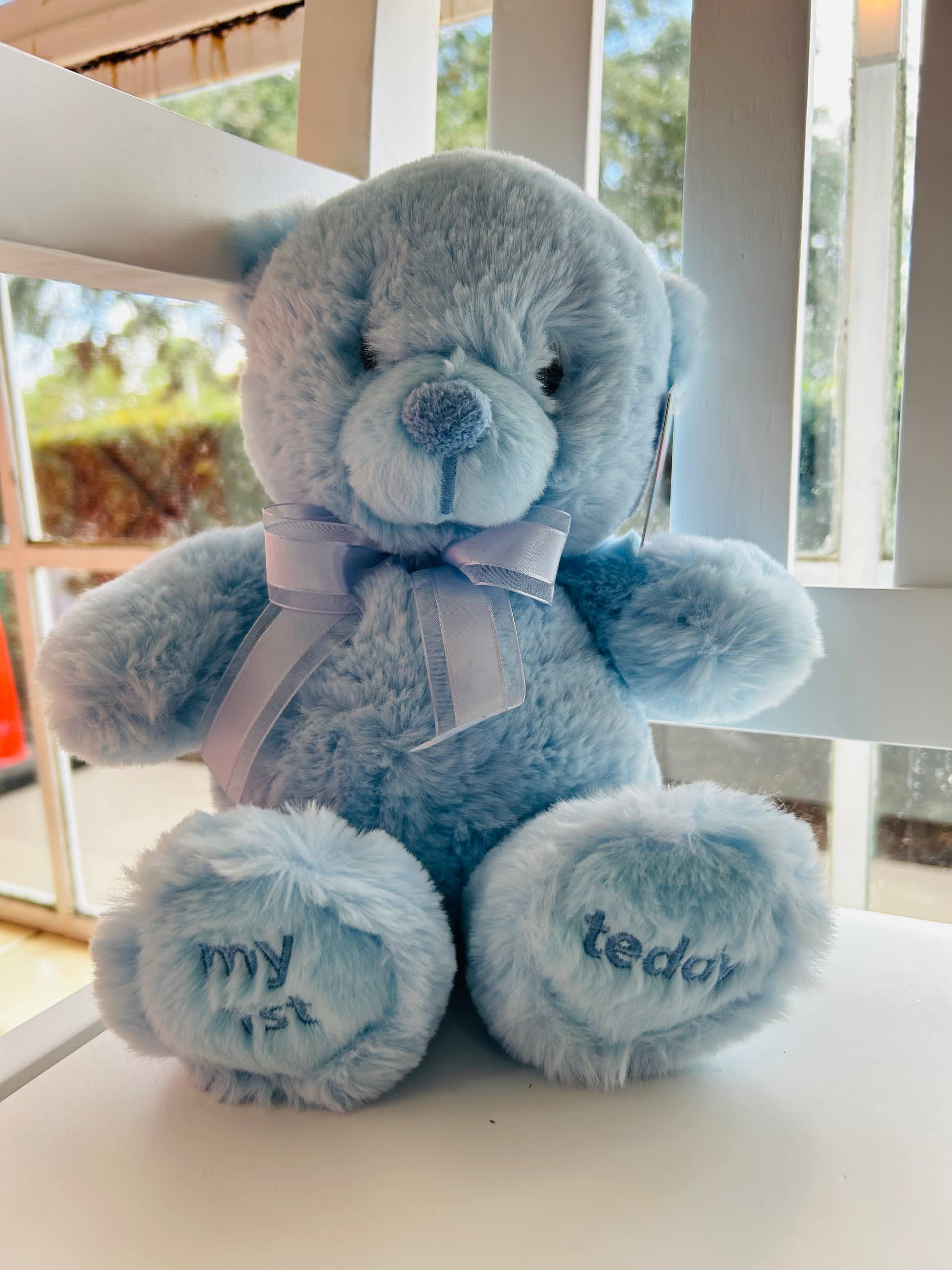 12 My First Teddy Blue