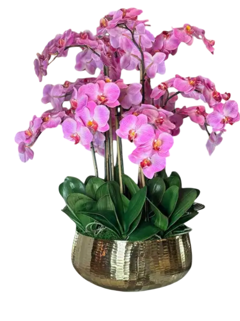 Orchid Plant Flower Bouquet