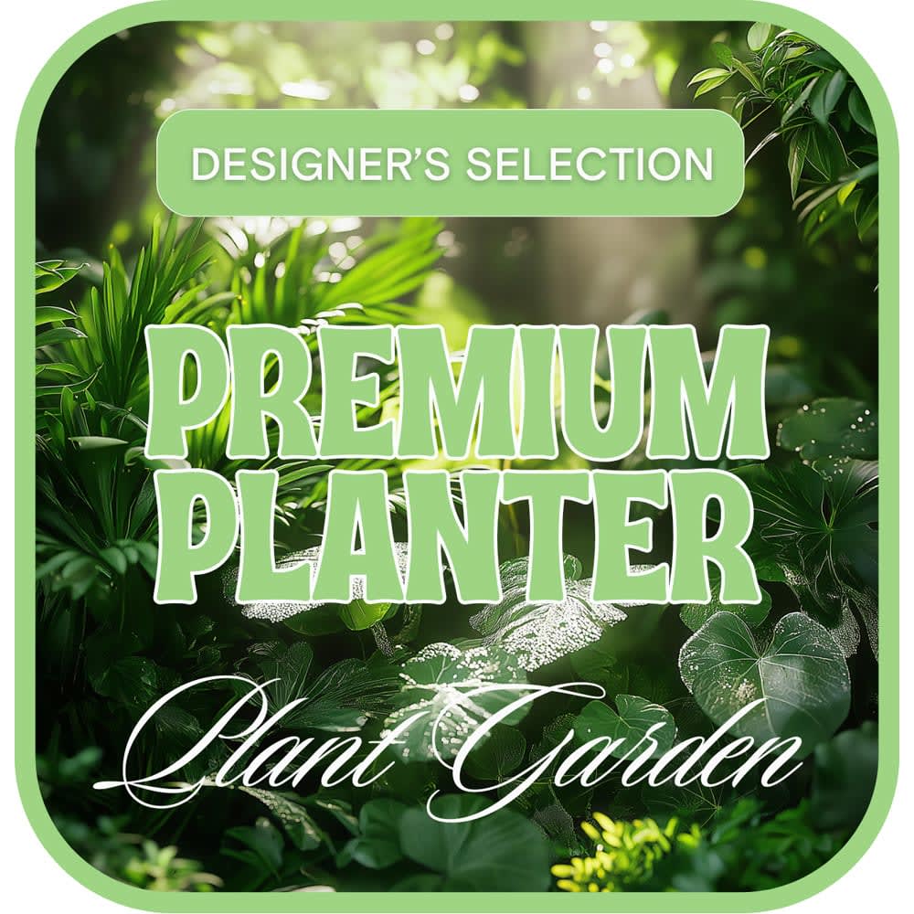 Designer's Choice Premium Planter Flower Bouquet